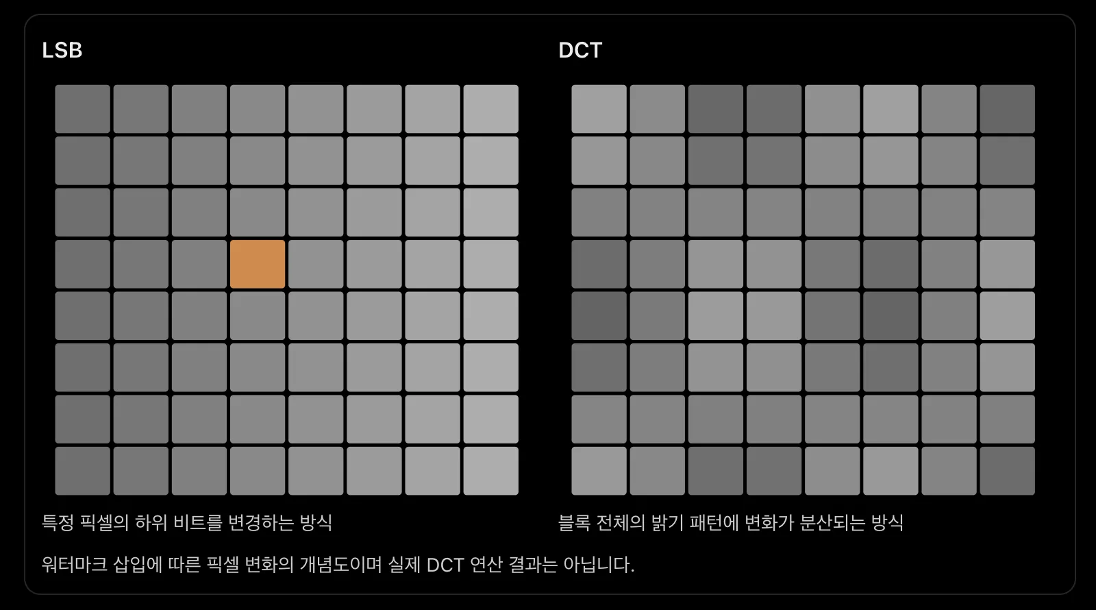 왼쪽 LSB 격자는 한 칸만 주황색이고, 오른쪽 DCT 격자는 블록 전체의 밝기가 칸마다 다른 회색으로 흩어져 있다